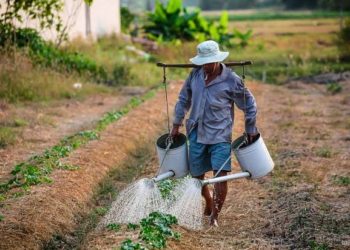 TCU constata desvio de R$ 521 mil em projeto para as cooperativas de MS