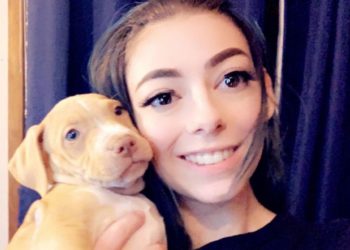 É NATAL! Garota faz currículo para convencer sua mãe a deixá-la ter cachorro