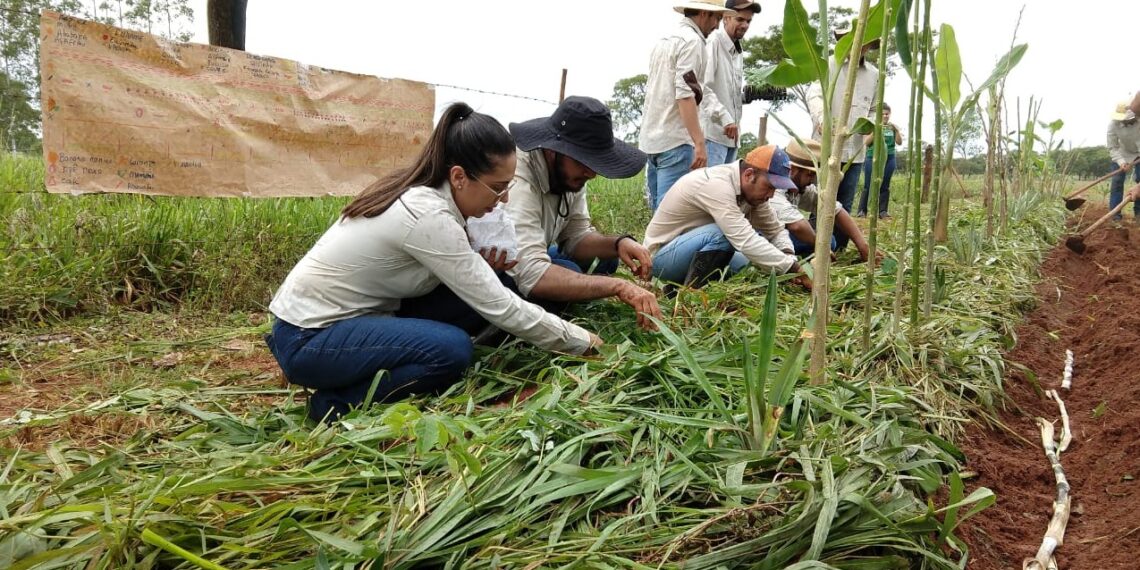 Agricultura familiar do Estado deve receber R$ 60 milhões em investimentos