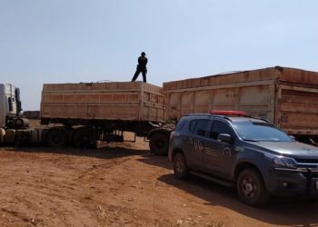 Polícia de MS apreende 33 toneladas de maconha, a maior da história