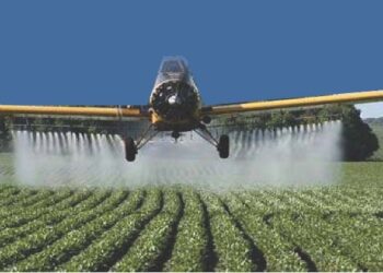 Processo de registro de agrotóxicos no Brasil é lento e confuso, aponta TCU