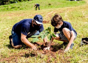 Crianças plantam mudas de árvores do Cerrado no Parque das Nações Indígenas