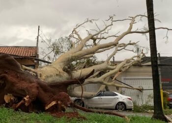 Riedel garante apoio do governo a 20 cidades atingidas por tempestade de areia