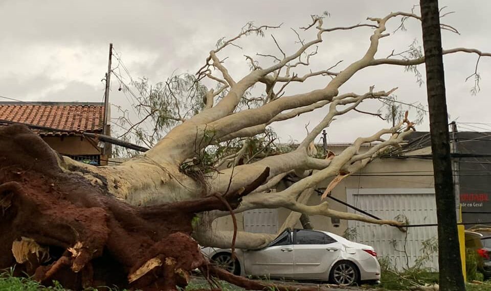 Riedel garante apoio do governo a 20 cidades atingidas por tempestade de areia