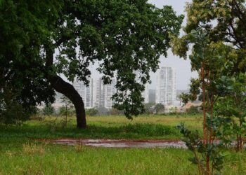 Escritório de advogados quer ganhar da prefeitura terreno em bairro nobre de Campo Grande