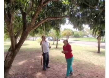 Jornalista que filmou Nelsinho pegando manga recebeu R$ 861 mil do senador em 3 anos