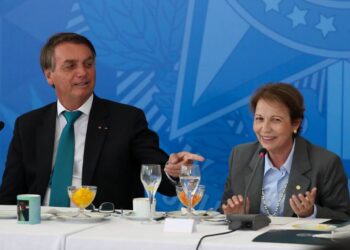 Tereza Cristina é o melhor nome para vice de Bolsonaro, aponta especialista em marketing