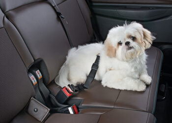 Chevrolet aponta 5 tendências em acessórios para atrair mais clientes em 2022