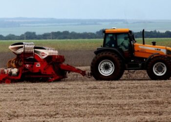 Plantio de soja para a próxima safra deve ocupar 3,8 milhões de hectares em MS