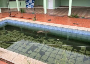 Casa alugada por Marquinhos vira criadouro de mosquito da dengue em Campo Grande