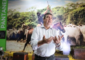 Governo de MS sai na frente para obter certificado de carbono neutro até 2030