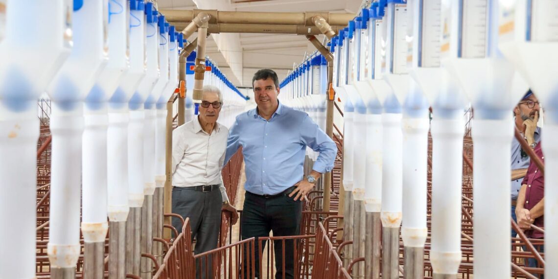 Riedel anuncia investimentos privados de R$ 1 bilhão na suinocultura do Estado
