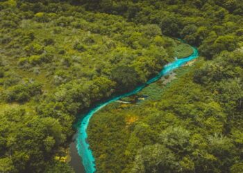 MS é um dos cinco Estados com menor desmatamento de áreas ano passado