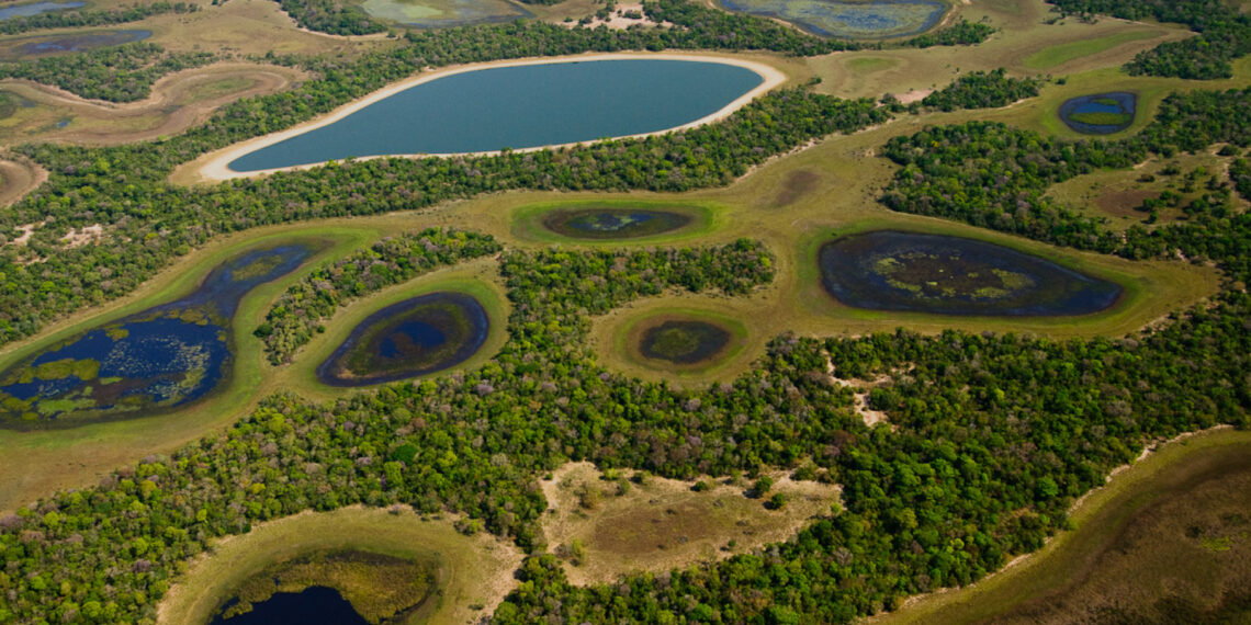Como o ambientalismo pode demonizar pessoas por interesse político