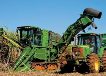 Bagaço de cana e lasca de madeira puxam a transição energética em MS