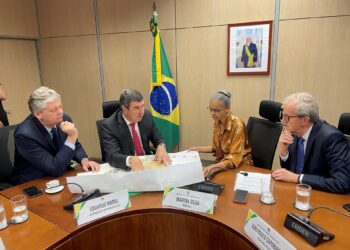 Governos de MS e federal se unem para elaborar lei de proteção ao Pantanal