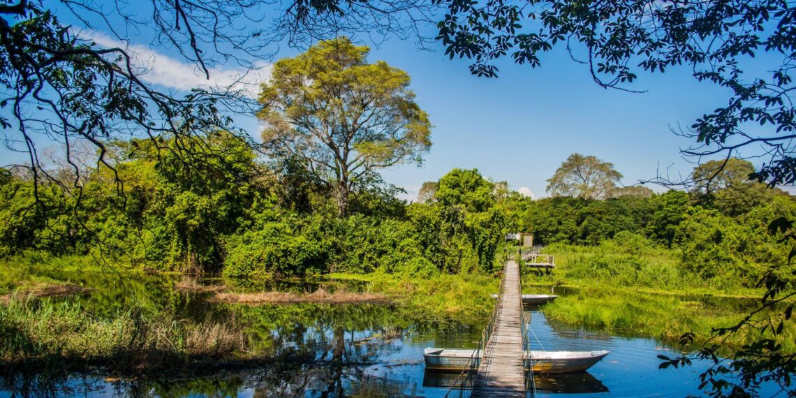 ESPECIAL: Má vontade política faz Pantanal esperar dinheiro há mais de 20 anos