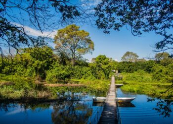 ESPECIAL: Má vontade política faz Pantanal esperar dinheiro há mais de 20 anos