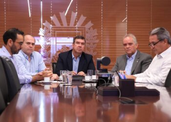 Riedel se reúne com ministro da Agricultura por ajuda ao setor agrícola do Estado