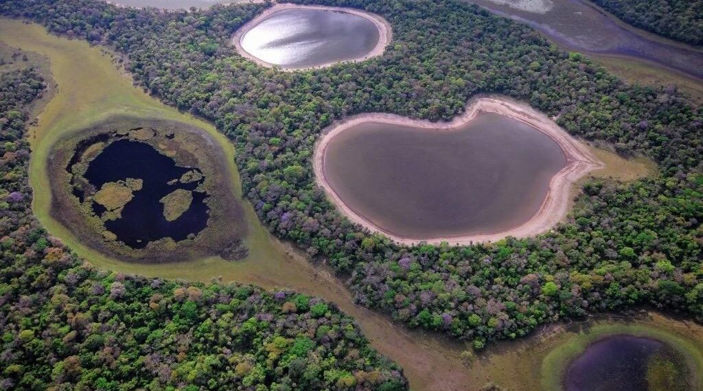 Com Lei do Pantanal, malha de corredores ecológicos ajudará a conservar o bioma