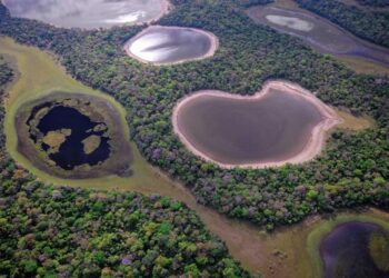 Com Lei do Pantanal, malha de corredores ecológicos ajudará a conservar o bioma