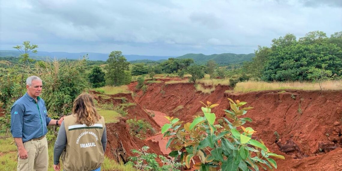Plantio de árvores começa a mudar cenário em áreas próximas ao Rio Taquari