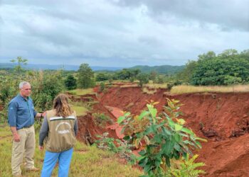 Plantio de árvores começa a mudar cenário em áreas próximas ao Rio Taquari