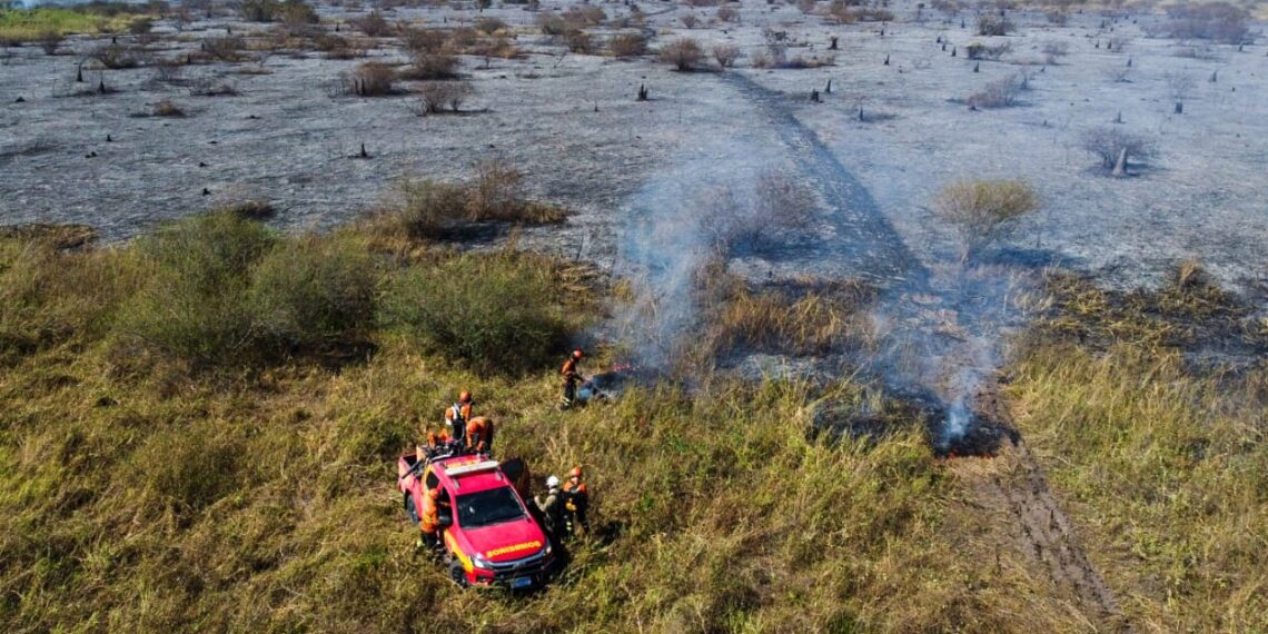 Marina só aparece depois de Pantanal queimar por 20 dias e destruir 550 mil ha