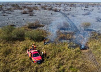 Marina só aparece depois de Pantanal queimar por 20 dias e destruir 550 mil ha