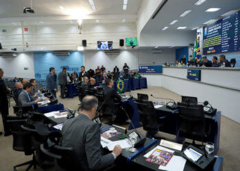 Câmara mantém veto a brinquedo adaptado para crianças com deficiência