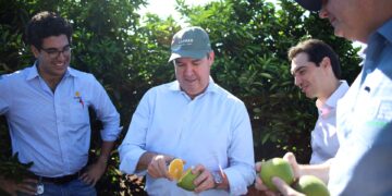 Depois da soja, da carne e da celulose, MS vê expandir produção de laranja