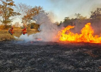 Governo de MS antecipa medidas para evitar incêndios florestais na seca