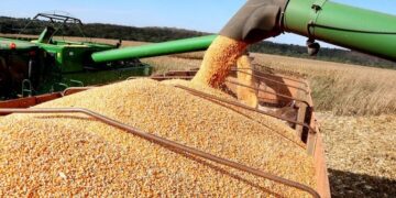 Perdido, gastando muito, sem verba e juros a 15%, Lula suspende Plano Safra