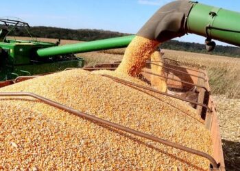 MS é o estado que mais crescerá em 2025, aponta consultoria econômica
