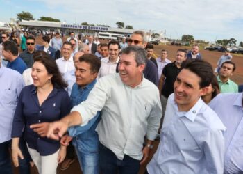 Simone age como se não fosse parte dos problemas do país, diz colunista