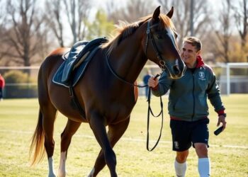 Vojvoda não passará 2 vezes com seu cavalo encilhado em frente à Vila Belmiro
