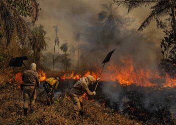 TCU aponta falhas do Governo federal no combate às queimadas no Pantanal