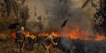 TCU aponta falhas do Governo federal no combate às queimadas no Pantanal