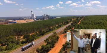 Rota da Celulose inicia obras e prevê impacto imediato nas rodovias de MS