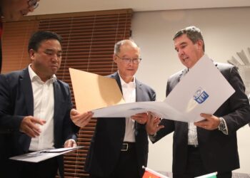 Chineses anunciam fábrica de arames para atender setor de celulose em MS
