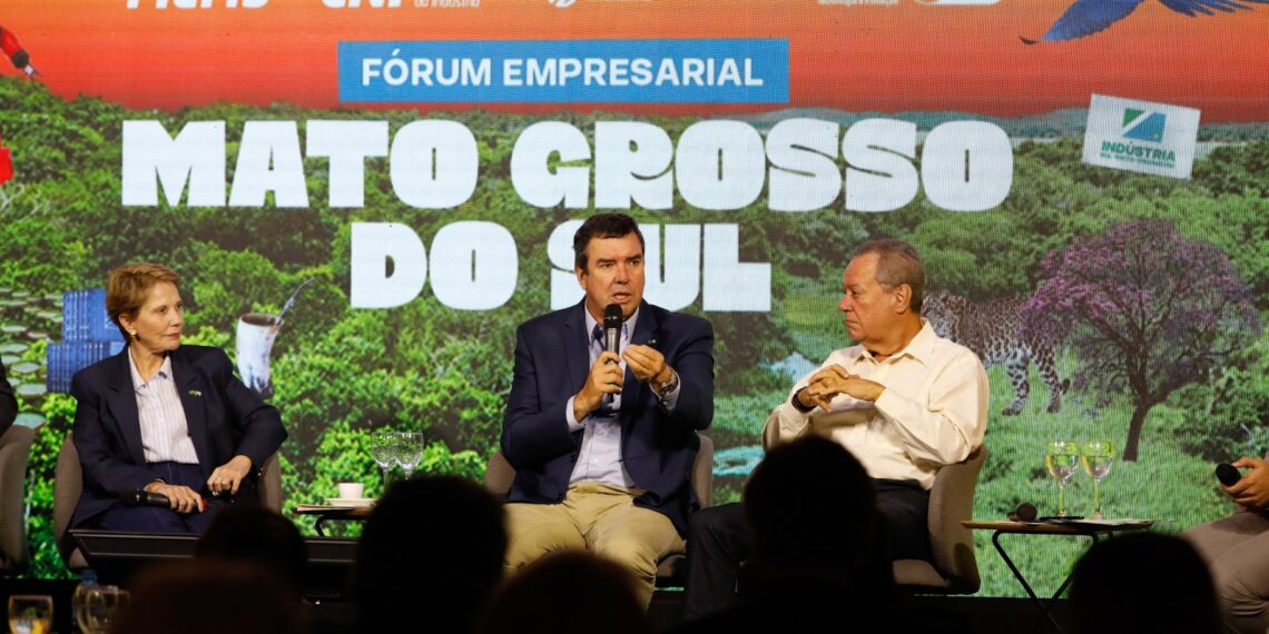 Riedel explica por que gigantes da indústria estão escolhendo MS para investir