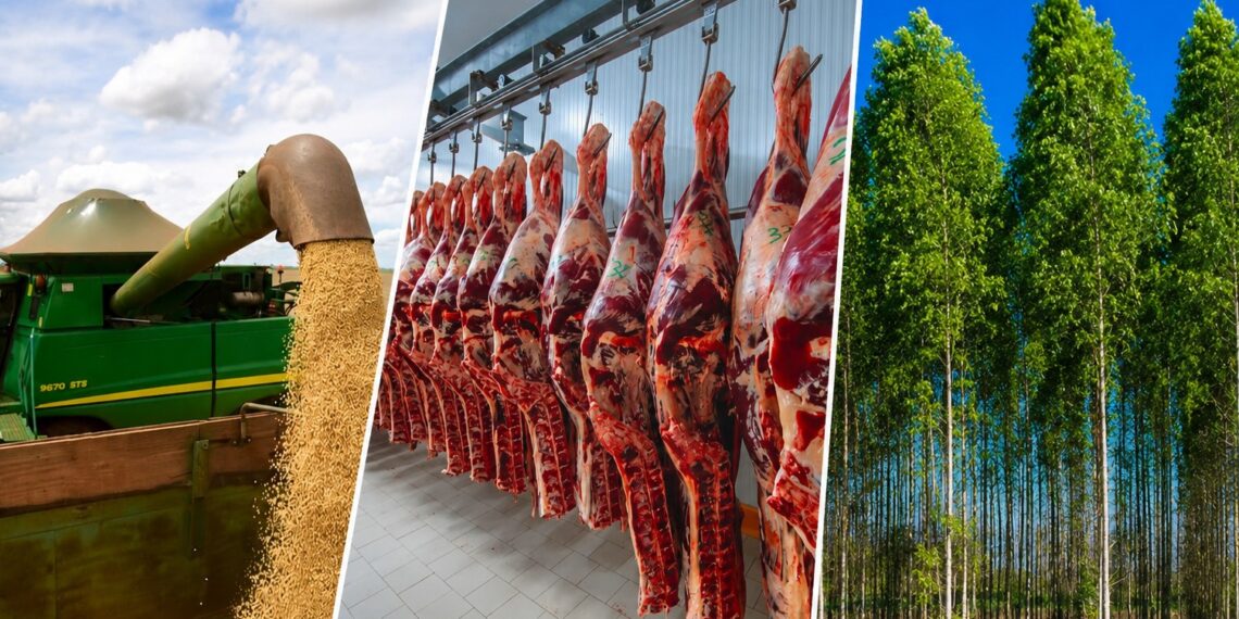 Mato Grosso do Sul tem o 3º maior crescimento econômico do país, aponta BC