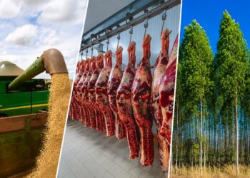 Mato Grosso do Sul tem o 3º maior crescimento econômico do país, aponta BC