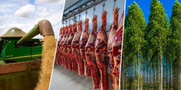 Mato Grosso do Sul tem o 3º maior crescimento econômico do país, aponta BC